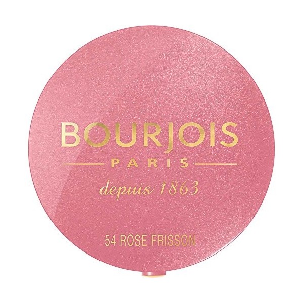 Bourjois Fard Joues 54