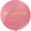 Bourjois Fard Joues 54