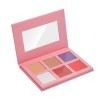 Fard à Joues Mat 6 Couleures, Blush et Fards à Joues Rose Peche, Face Hightlinghter Palette pour Le Visage, Poudre Blush Cont