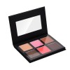 Fard à Joues Mat 6 Couleures, Blush et Fards à Joues Rose Peche, Face Hightlinghter Palette pour Le Visage, Poudre Blush Cont