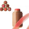 Blush Stick, Blush Stick Multifonction Longue Durée, Blush Stick Mat Naturel 3-en-1, Formule Hydratante, Non Gras, Fini Rosé