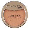 Poudre soleil maquillage, poudrier teint bronzé couleur doré irisé