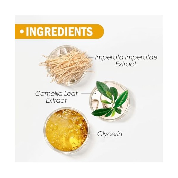 Dyceittdia 8g Sunscreen Setting Powder, Poudre de Réglage, Poudre de réglage Résistante à leau et à la Transpiration, Nature