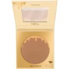 CATRICE DISNEY WINNIE THE POOH BRONCEADOR EN POVLO BRILLO SUTIL 010