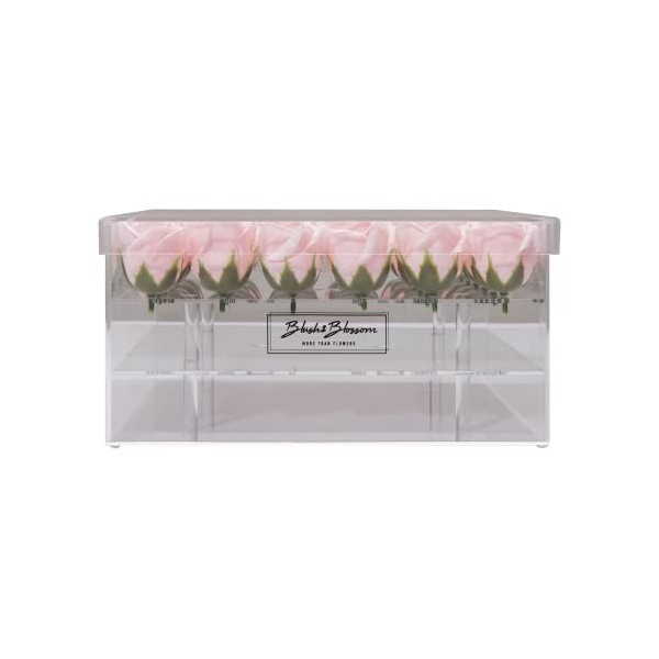 Blush & Blossom Rose Fleurs 36-Pièce dans Dégager Boîte, Blush