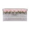 Blush & Blossom Rose Fleurs 36-Pièce dans Dégager Boîte, Blush