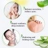 Skymore Aloe Vera Gel, Crème naturelle daloe vera pour peaux sèches, Soin hydratant naturel pour le visage, Le corps et les 