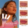 3PCS Peel Off Lip Tint Stain,Brillant à lèvres Mat Pelable,Peel Off Lip Gloss,Rouge à Lèvres Liquide Antiadhésif Étanche Très