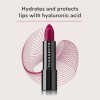 EVAGARDEN Classy Lipstick - Formulated with Natural Oils - Envelopes Your Skin with Satin Effect - Light, Pigmented Blend Giv