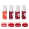 4 Couleurs Mini Lip Tint Korean, Mini Liquide Lipstick, Brillant à Lèvres Naturel, Rouge à Lèvres Hydratant, Tenue Longue Dur