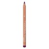 Aveda Feed My Lips Crayon à lèvres nourrissant Bayberry 1,14g