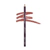 wet n wild – Color Icon Lipliner Pencil – Redessine le contour des lèvres - Texture douce - Teinte Chestnut - 100% Cruelty Fr