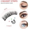 Faux Cils Magnetique, 3D Eyelashes Magnétiques Naturel, Faix Cils Magnetique Sans Eyeliner, Fake Lashes Magnetic Reutilisable