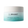 Dr Brandt Needles No More Hyaluronic Crème hydratante repulpante longue durée pour peaux déshydratées et sèches