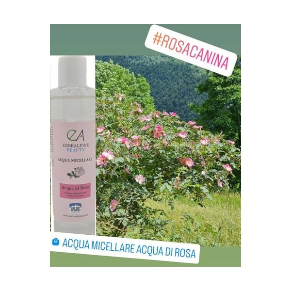 EAU MICELLAIRE À LA ROSE 250 M