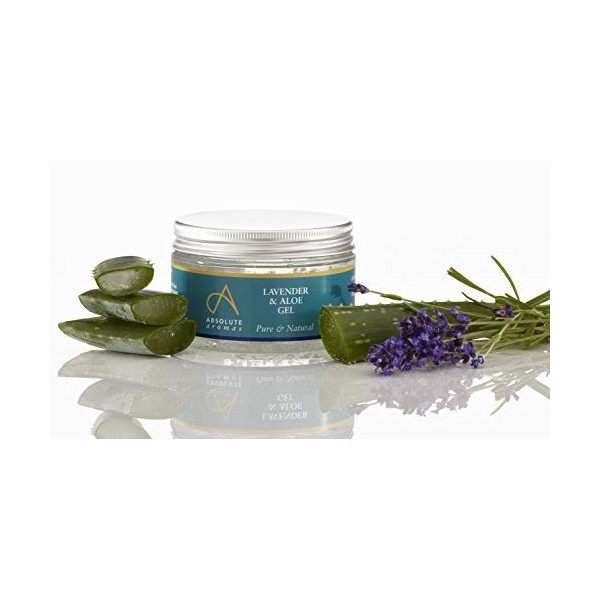 Absolute Aromas Gel Lavande et Aloe Vera 100g - Gel dAloe Vera apaisant et hydratant infusé dhuile essentielle de lavande