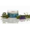 Absolute Aromas Gel Lavande et Aloe Vera 100g - Gel dAloe Vera apaisant et hydratant infusé dhuile essentielle de lavande