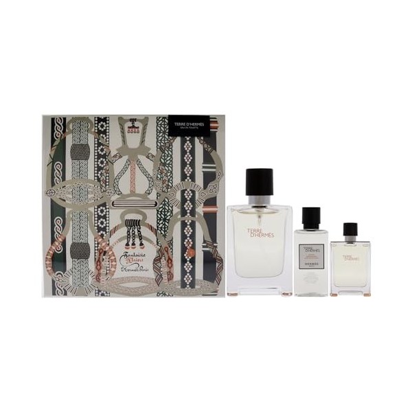 Hermes Terre dHermes Set : eau de toilette en spray 100 ml + 12,5 ml + ASB 40 ml