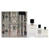 Hermes Terre dHermes Set : eau de toilette en spray 100 ml + 12,5 ml + ASB 40 ml