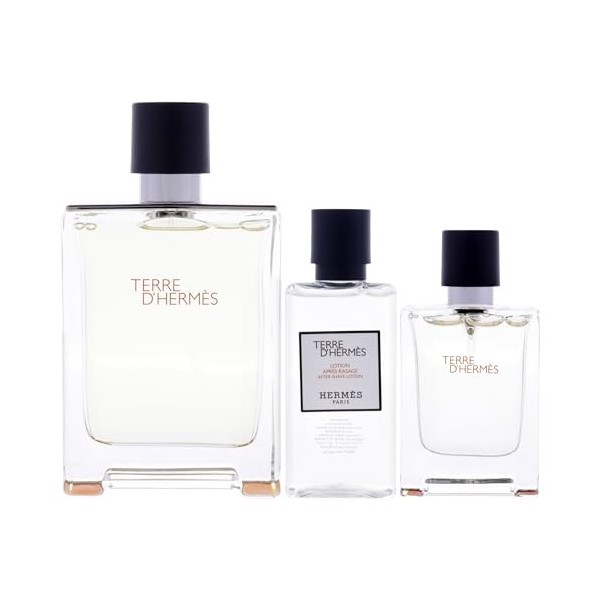 Hermes Terre dHermes Set : eau de toilette en spray 100 ml + 12,5 ml + ASB 40 ml