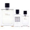 Hermes Terre dHermes Set : eau de toilette en spray 100 ml + 12,5 ml + ASB 40 ml