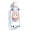 Roger&Gallet - Eau Parfumée Bienfaisante Amande Persane 100ml - Mandarine Amande amère Fève Tonka - 92% dingrédients dorigi