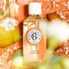 Roger&Gallet - Eau Parfumée Bienfaisante Amande Persane 100ml - Mandarine Amande amère Fève Tonka - 92% dingrédients dorigi