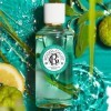 Roger&Gallet - Eau Parfumée Bienfaisante Vétyver 100ml - Bergamote Vétyver Sauge - 98% dingrédients dorigine naturelle