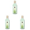 Eau de Cologne - Thé Vert - Christine Darvin - Made in France - 97% dingrédients dorigine naturelle - Spray 250ml Lot de 3