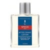 Speick Men Lot de 2 lotions après-rasage 100 ml