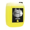 The Shave Factory Eau de Cologne citron 5 L – Parfum après-rasage professionnel de qualité barbier pour salons de coiffure et