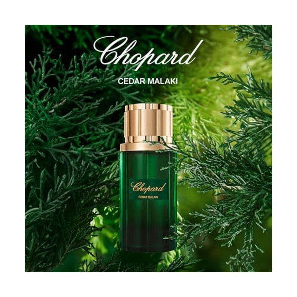 Chopard Cedar Malaki 80 ml – Eau de Parfum pour Homme – Fragrance Aromatique Boisée – Notes Majestueuses de Cèdre, de Pamplem