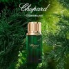 Chopard Cedar Malaki 80 ml – Eau de Parfum pour Homme – Fragrance Aromatique Boisée – Notes Majestueuses de Cèdre, de Pamplem