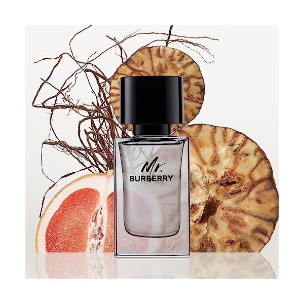 BURBERRY Mr. Hommes 150ml Eau de Toilette Mr, Hommes, 150 ML, Pamplemousse, Guaïac, Vétiver, Spray, France