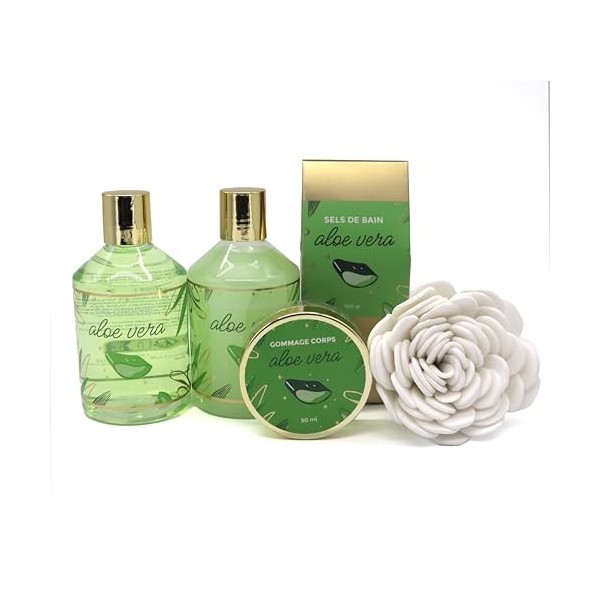 Coffret cadeau - Panier bicolore - Aloe Vera - FRENCH TENDANCE