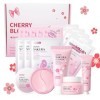 Ensemble de soins de la peau pour adolescentes, kits de soins de la peau pour femmes, ensemble de soins de la peau Sakura jap