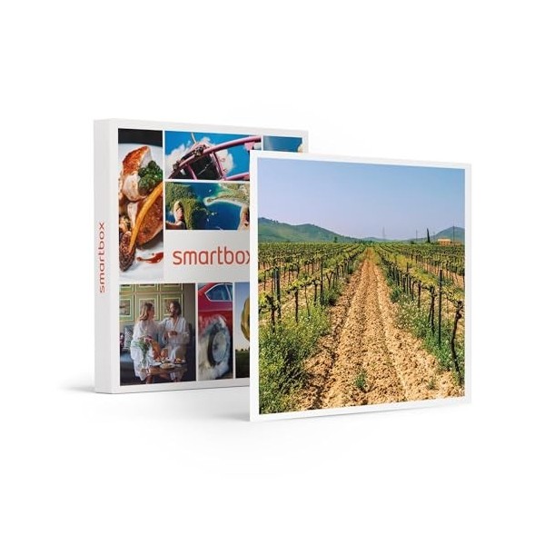 Smartbox - Coffret Cadeau - Visite du vignoble de la Bastide des oliviers et de sa Cave avec dégustation pour 2 - idée Cadeau