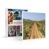 Smartbox - Coffret Cadeau - Visite du vignoble de la Bastide des oliviers et de sa Cave avec dégustation pour 2 - idée Cadeau