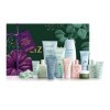 Liz Earle Calendrier de lAvent 12 jours de beauté 12 pièces Coffret cadeau XMAS24