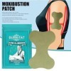 Patchs Minceurs pour Perte de Poids,Boîte Autocollants Moxibustion,Slimming Patch,Patch Amincissant pour les Bras,atch Aminci