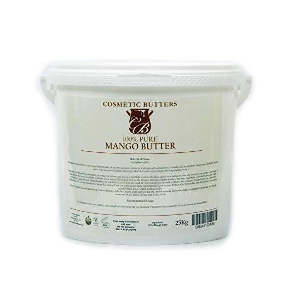 Beurre de mangue 100% pur naturel 5 kg