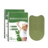 Patch Minceur, Patch Amincissant, 24 Pièces Slimming Patch, Anti Cellulite Patch, Brûleur de Graisse Naturelle pour Perte de 