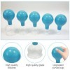 IXYHKB Ventouses de Massage en Silicone, Lot de 5 Ventouses De Massage Sous Vides, Ventouses En Verre Avec Boule Silicone Pou