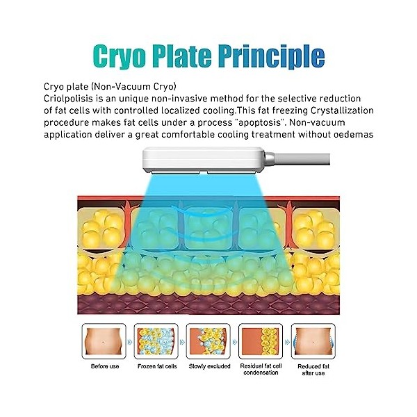 Masseur Portable EMS Cryo Plates Machine Cryolipolyse Machine congélation Graisse à 4 poignées pour lélimination Cellulite G