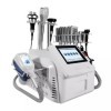 Machine minceur portable de congélation lipo thérapie cryolipolyse congelée