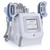 8 en 1 Multi-fonction 360 Cryolipolyse Fat Freeze Soft Silicon Traitement minceur Machine de traitement de graisse congelée