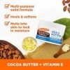 Palmers Formule au Beurre de Cacao Beurre de Soin Solide Peau Desséchée Format Familial 200 g