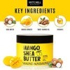 Mango Whipped Shea Body Butter - 10 oz / 300 gr - Effective on Skin, Hair, Body, Face, with Almond Oil, Shea Butter, Vitamin 