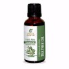 Tea Tree Oil - Melaleuca alternifolia Steam Distilled 100% Pure Natural Undiluted Therapeutic Grade Essential Oil - Great w