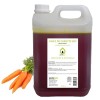 Purespa - HUILE DE CAROTTE BIO - 100% Pure Naturelle - Certifié Cosmos ECOCERT - Corps - Jerrycan 5 Litres 